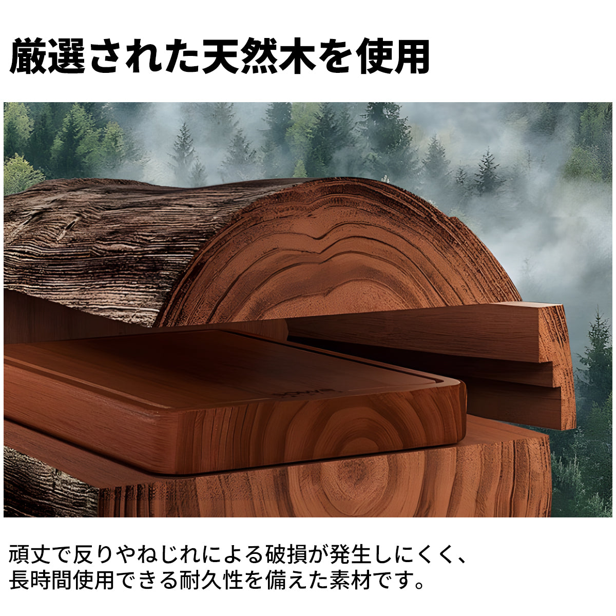 ステンレス鋼 天然木 安定性 ストッパー付きキャスター 収納ラック R仕上げ テレビボード モニタースタンド シンプル 使い勝手 機能的 DSG-C084